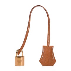 Hermes Birkin 30 Sellier Tasche Gold Veau Graine Monsieur Laiton Limited Edition