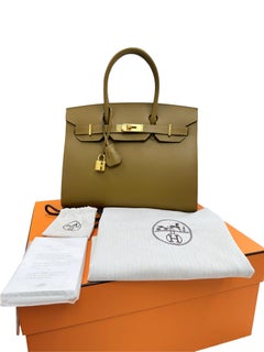 Hermes Birkin 30 Sellier Bronze Dore Veau Madame Leather With Gold Hardware
