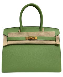 Hermes Birkin 30 Sellier Vert Criquet Green Epsom Gold Hardware NEW