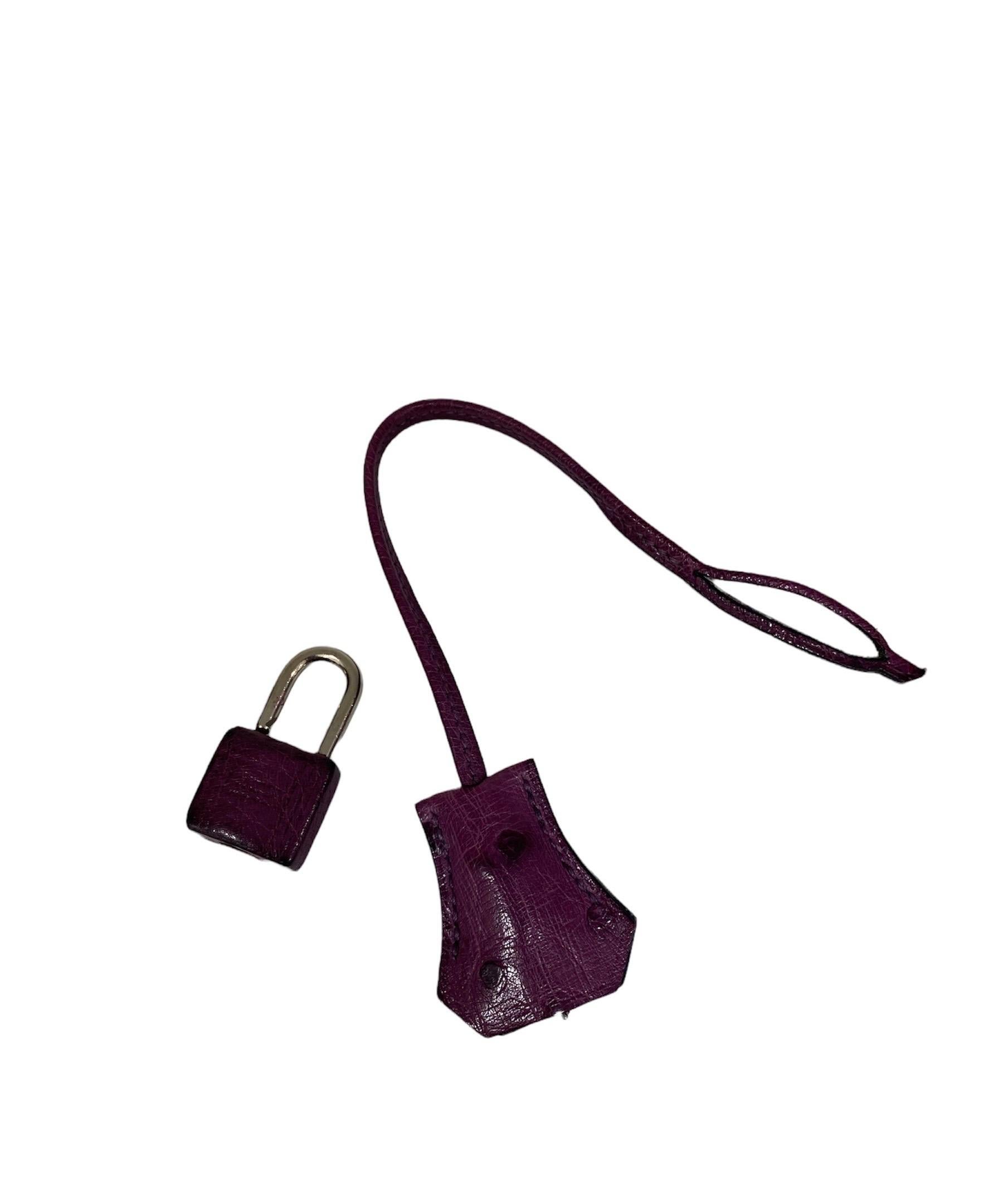 Hermes Birkin 30 Violet Ostrich Top Handle Bag en vente 4