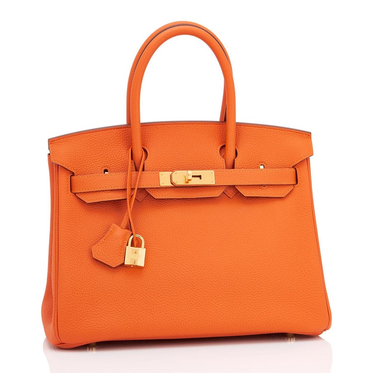 New Hermes Birkin Bag For Sale Literacy Basics