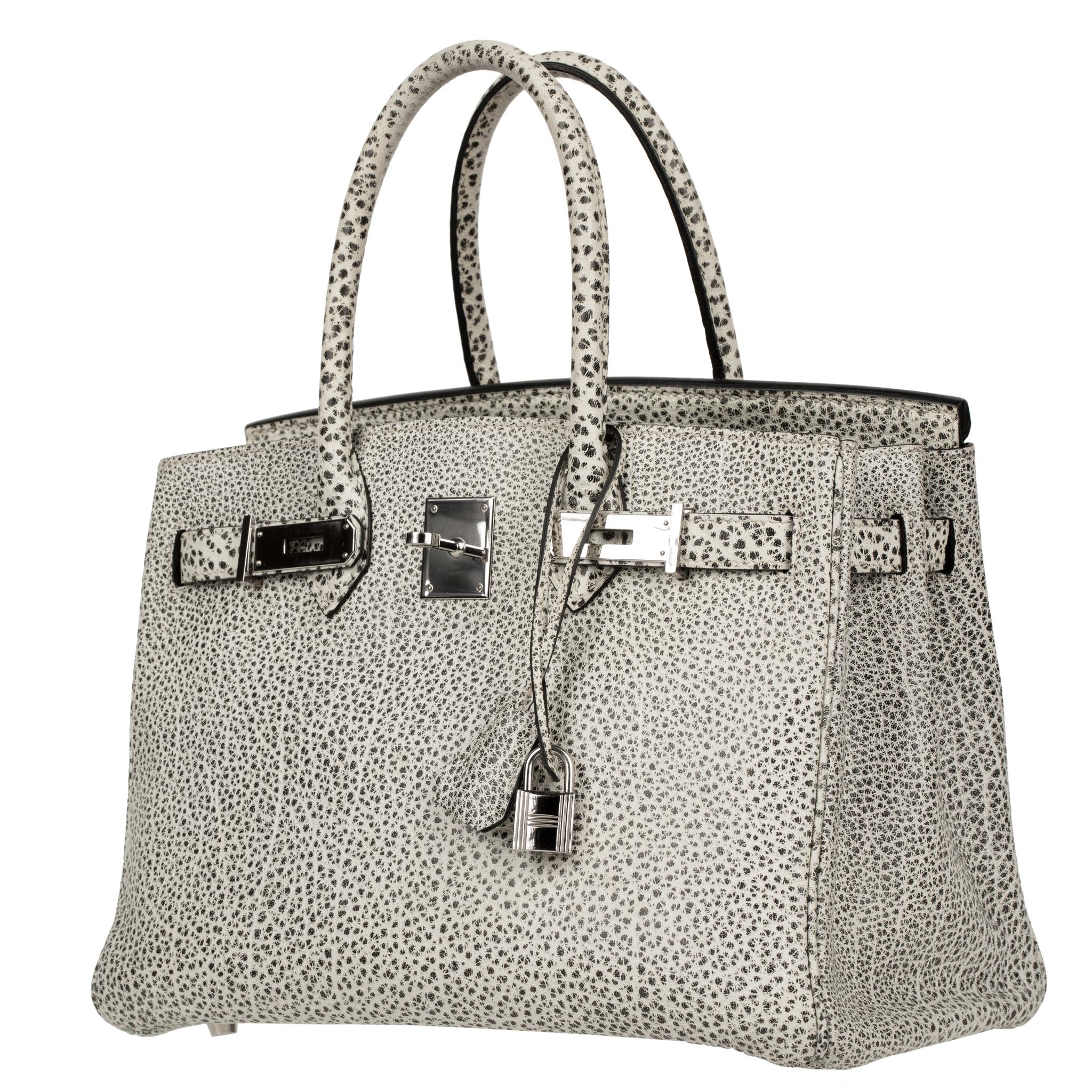 dalmatian birkin