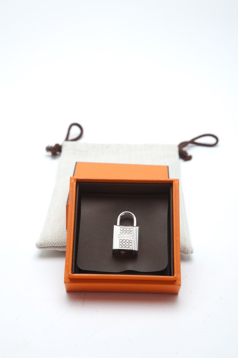 Hermes Birkin 30cm Himalayan with Diamond hardware at 1stDibs