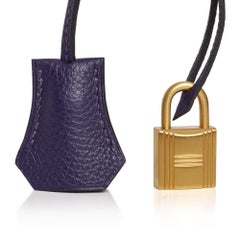 Hermes Birkin 35 Bag HSS Iris / Electric Blue Togo Brushed Gold Hardware New w/B