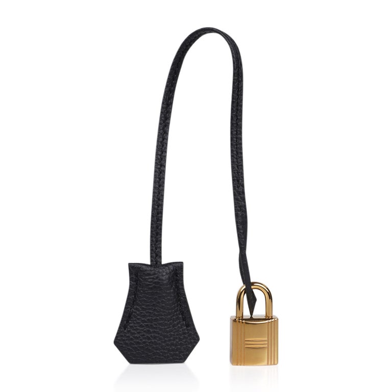 Hermes Birkin 35 Plomb (Off Black) Limited Edition Bag Togo Gold Hardware  For Sale at 1stDibs