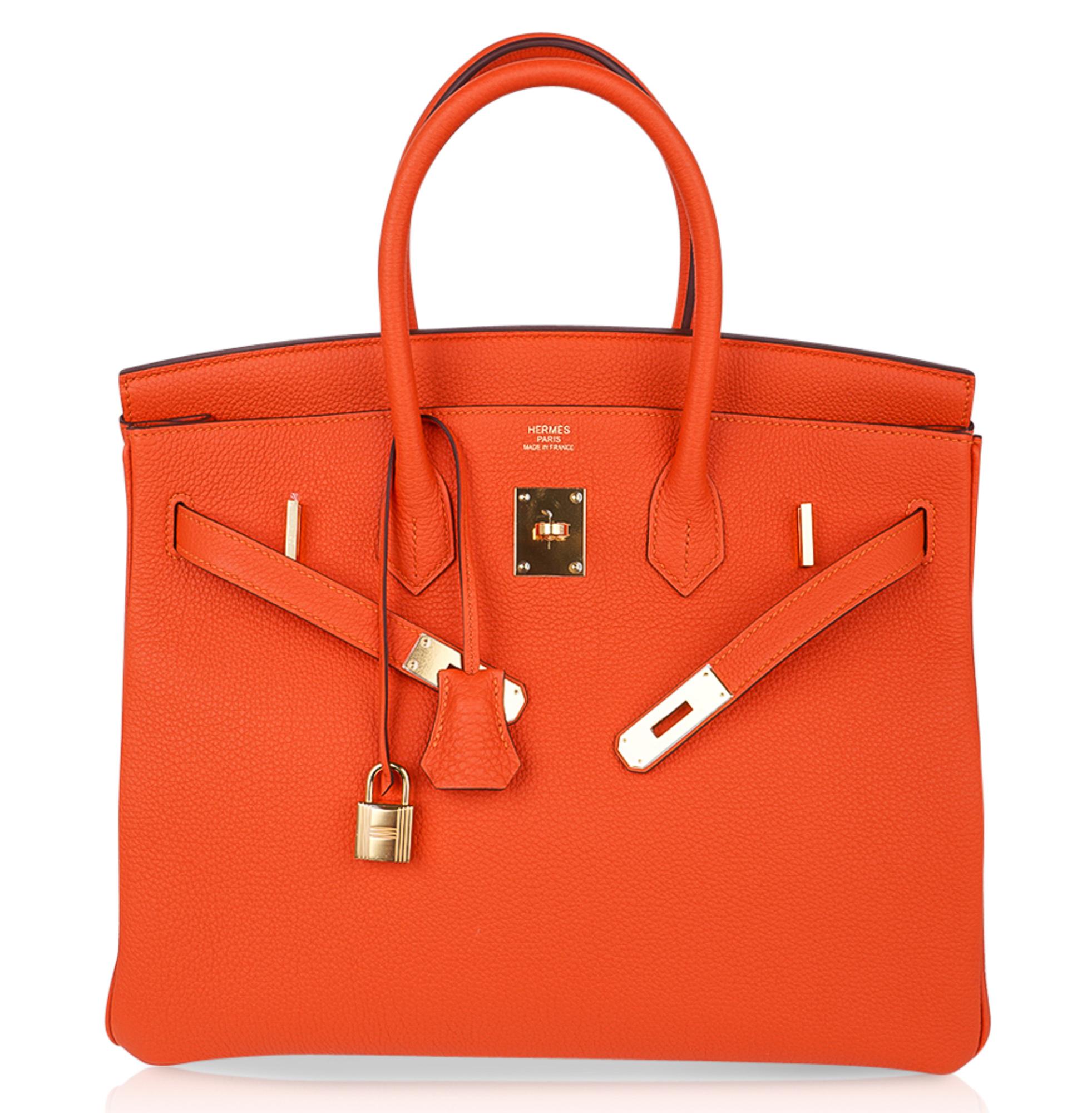 Hermes Birkin 35 Bag Rare Feu Orange Togo Gold Hardware 2