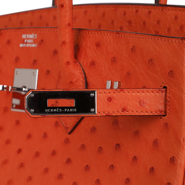 Hermès Birkin 40 Noisette Chevre Leather Beige Ostrich Palladium Hardw