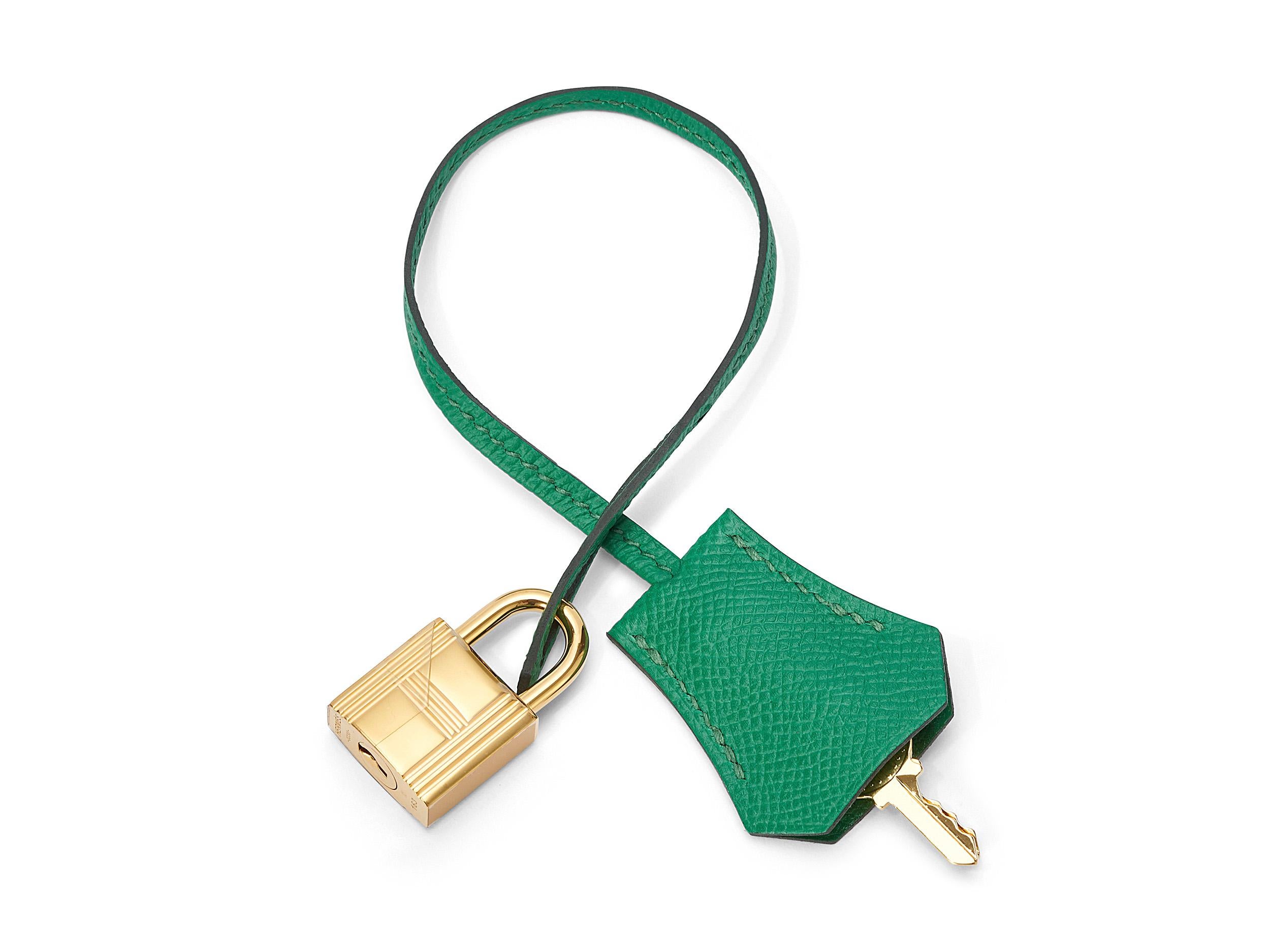 Hermès Birkin 35 Cactus Epsom Gold Hardware 4