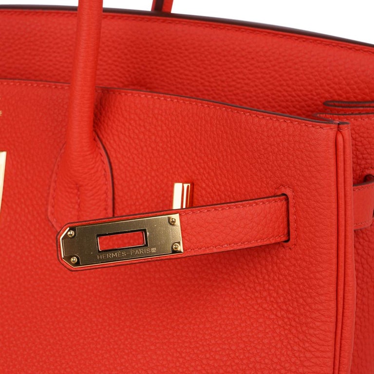 Hermes Birkin 35 Capucine Bag Gold Hardware Togo Leather For Sale at ...