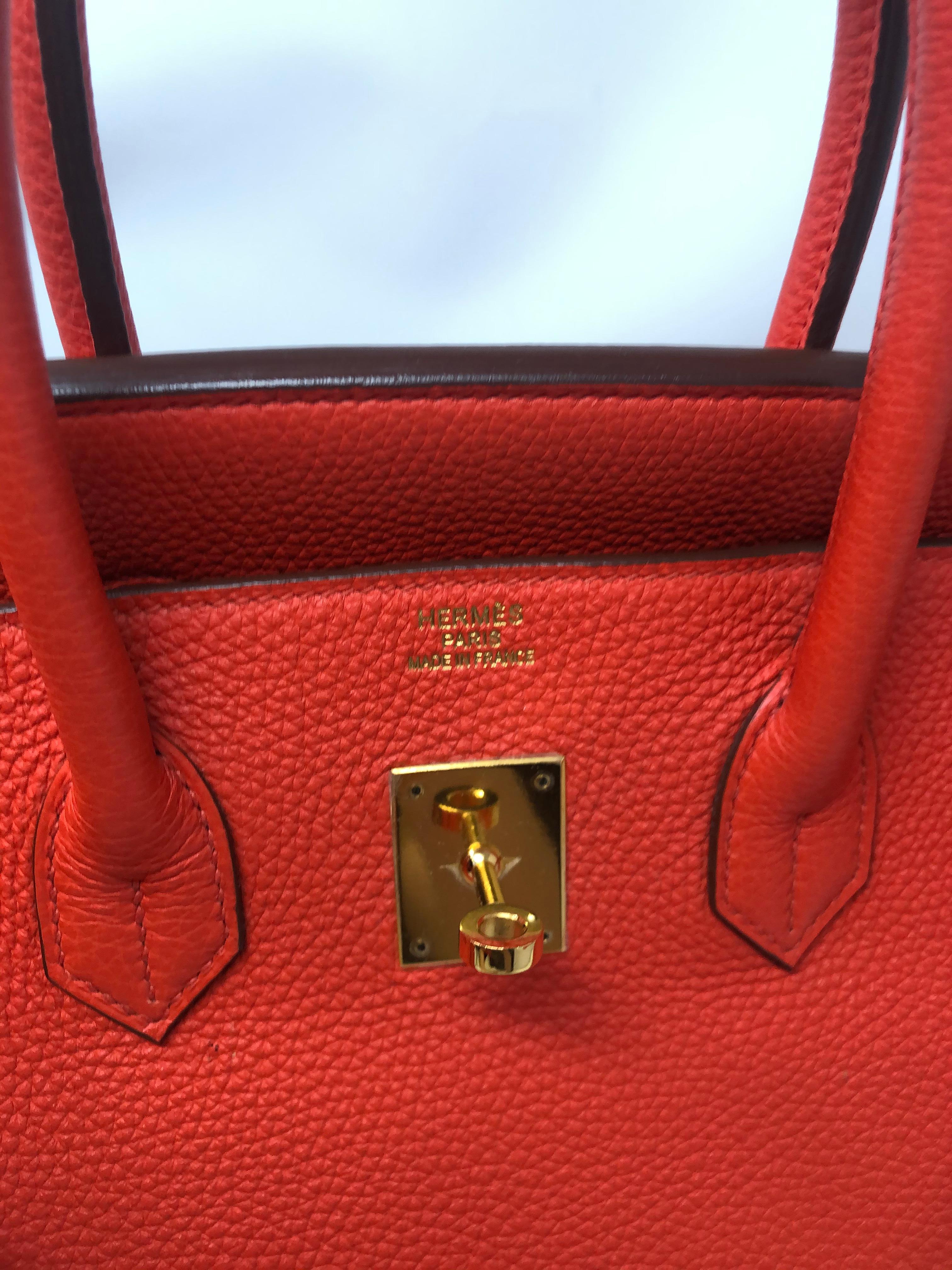 Hermes Birkin 35 Capucine Veau Togo 1