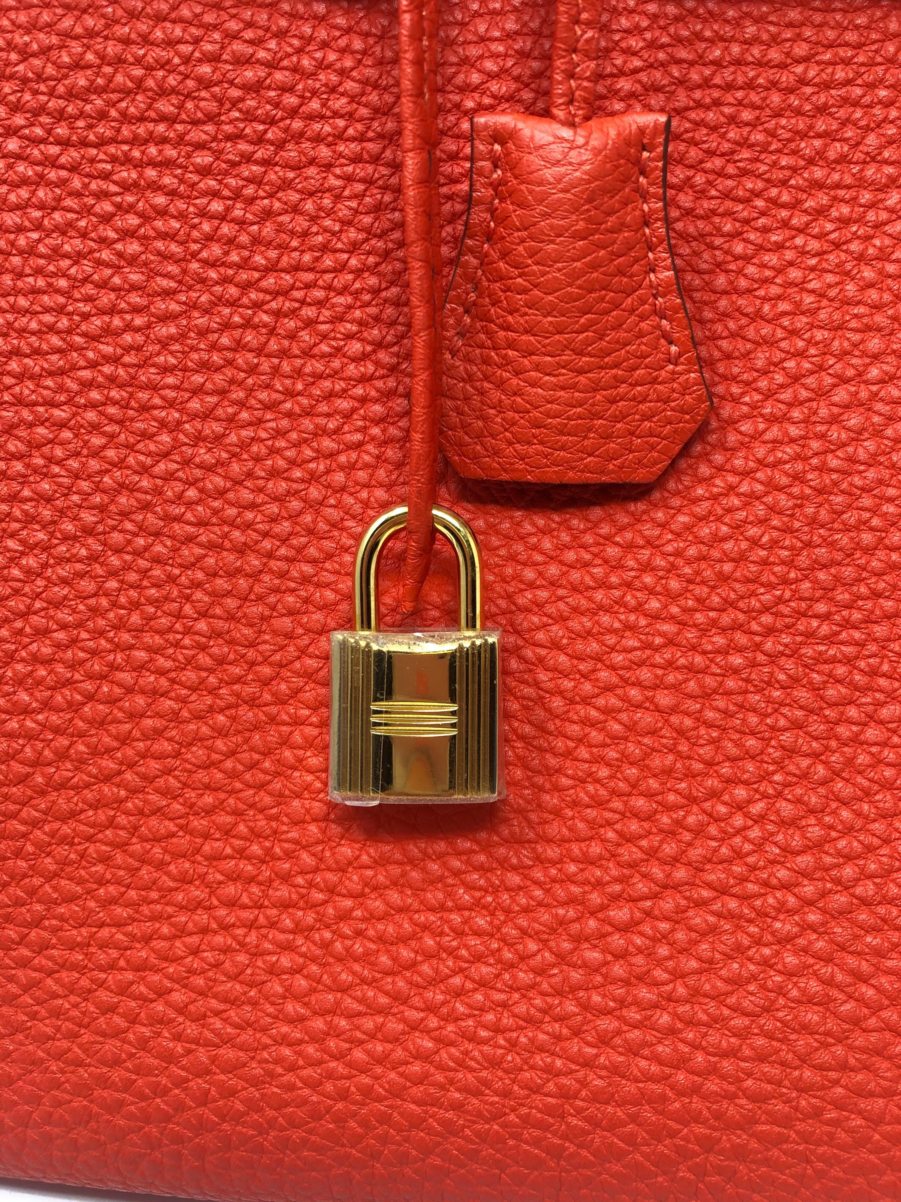 Hermes Birkin 35 Capucine Veau Togo 3