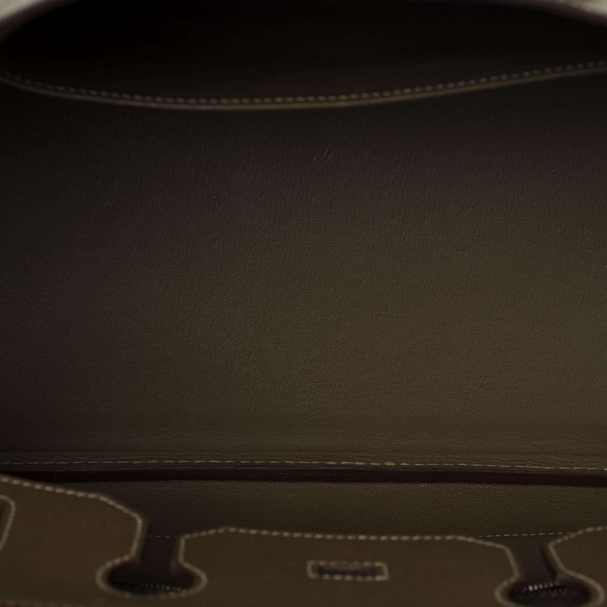 Hermès Birkin 35 handbag in Epsom Etoupe with Silver hardware ! In Excellent Condition In Paris, IDF