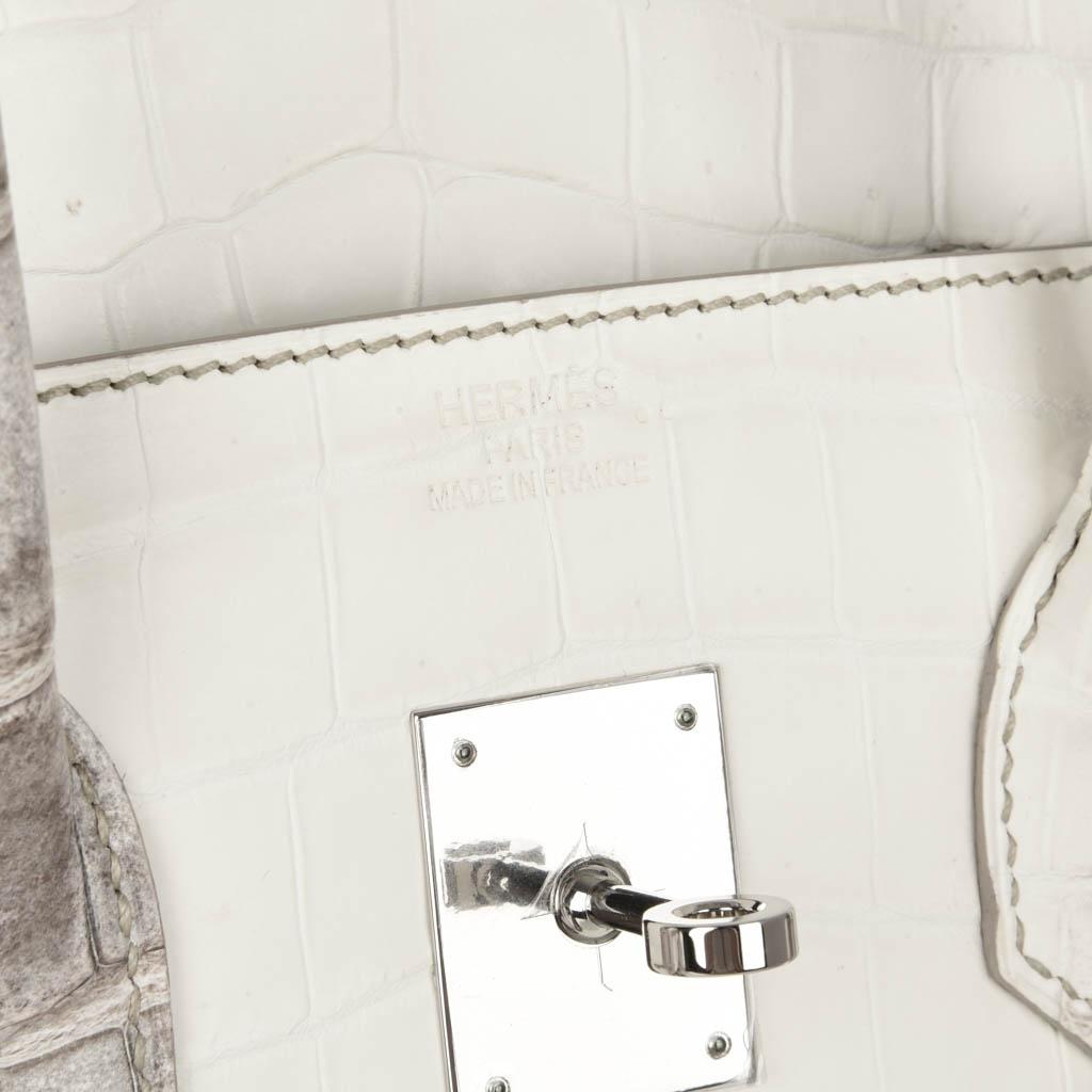 Sac Hermès Birkin 35 Himalaya en cuir de crocodile blanc et finition en palladium 3