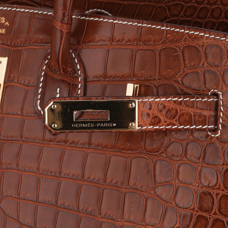 Hermès Birkin 35 Matte Poussière Porosus with Gold Hardware - Bags