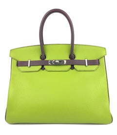 Hermes Birkin 35 Special Order Vert Anis Green Raisin Purple Palladium Hardware