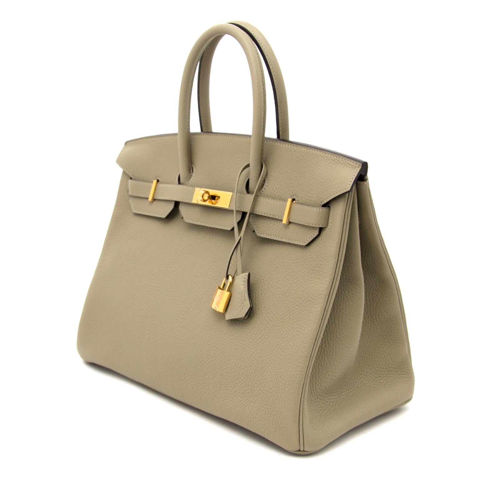 hermes sauge birkin