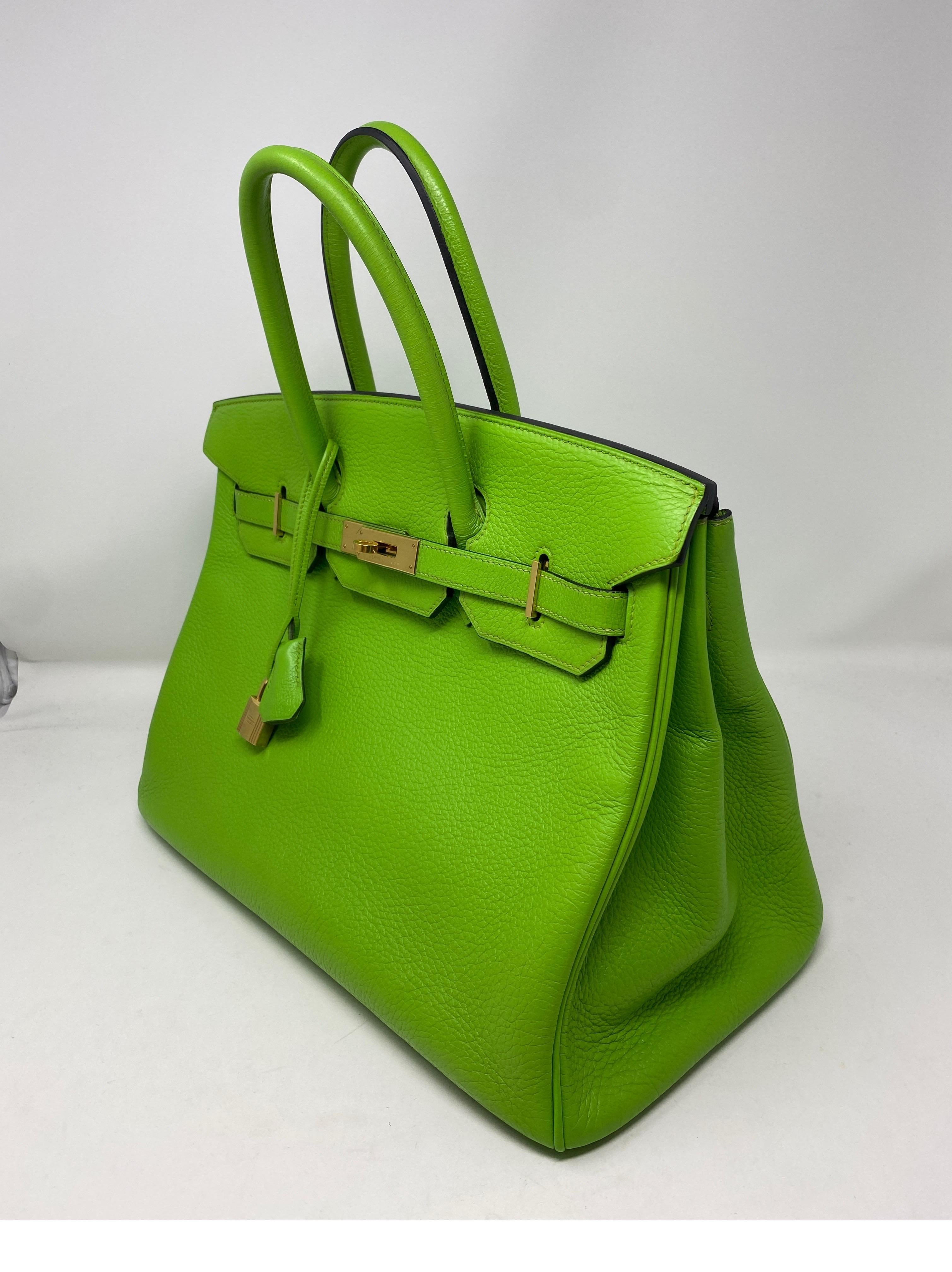 lime green birkin bag