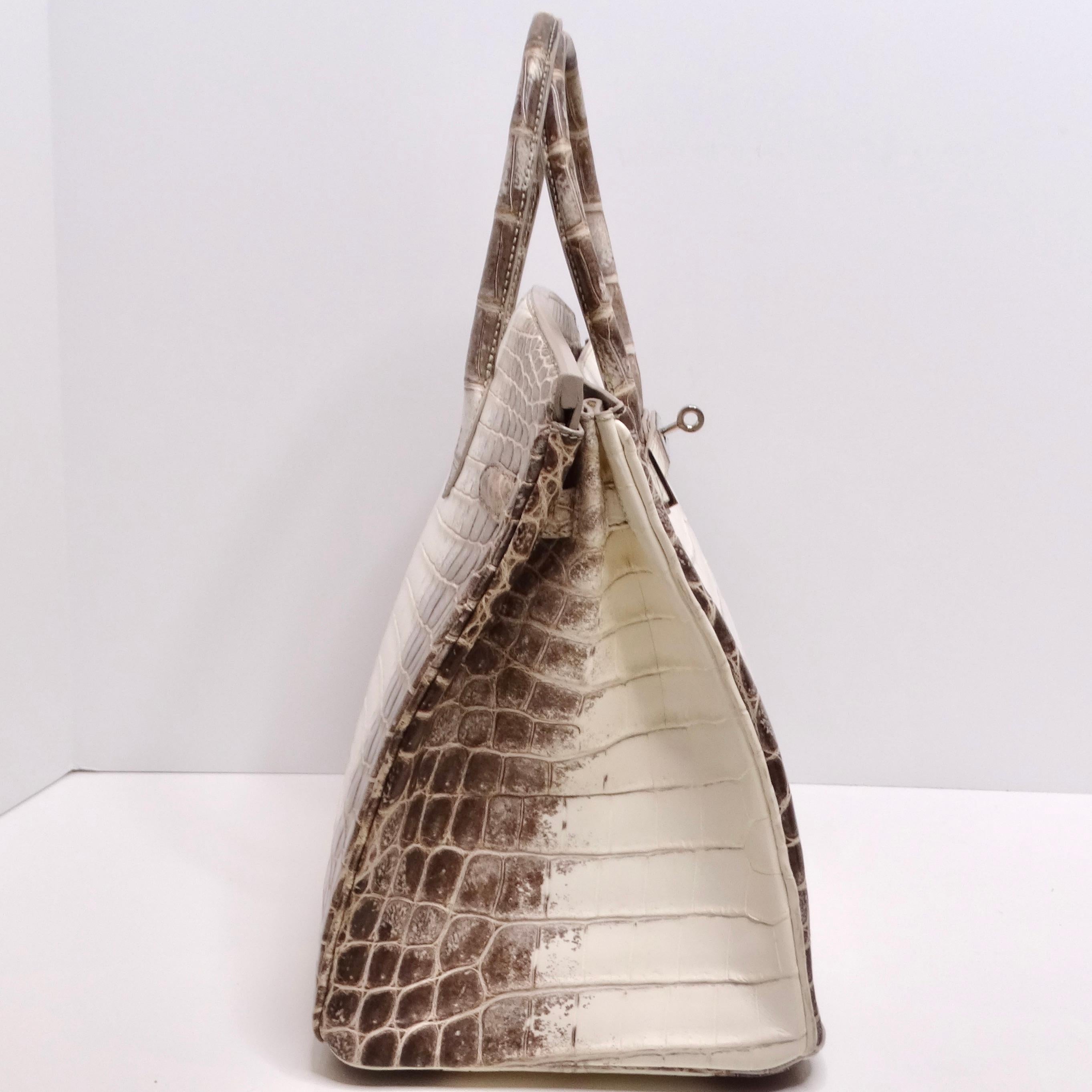 Hermes Birkin 35cm Himalayan Niloticus Crocodile Matte Palladium Hardware en vente 1