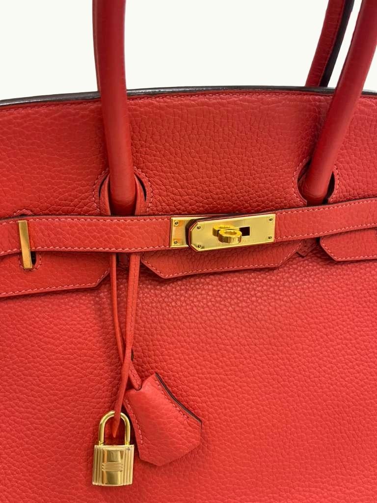 Hermes Birkin 35cm Rouge Pivoine Clemence Leather Gold Hardware Handbag en vente 1