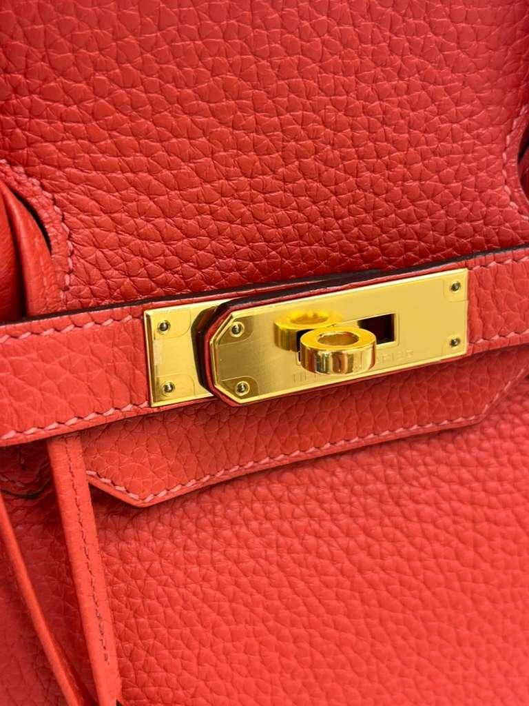 Hermes Birkin 35cm Rouge Pivoine Clemence Leather Gold Hardware Handbag en vente 3