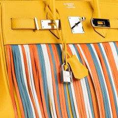 Hermes Birkin 35cm Soleil & Multicolor Fringe Swift Leather Palladium Hardware