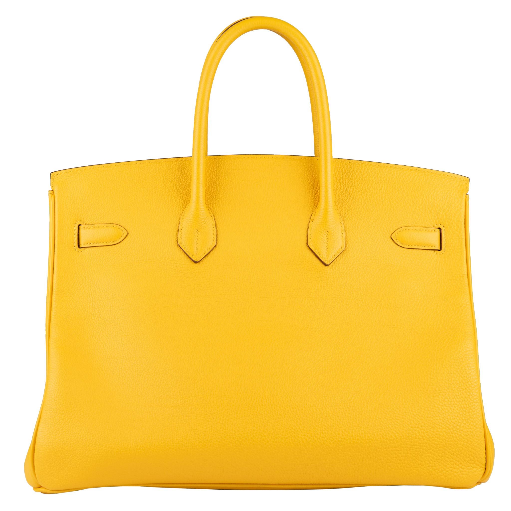 Hermes Birkin 35cm Soleil e frangia multicolore Swift in pelle Palladium Hardware 2
