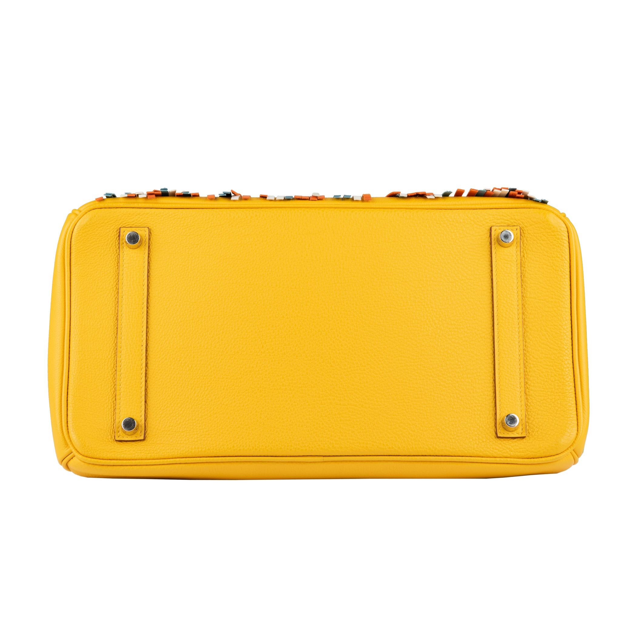 Hermes Birkin 35cm Soleil e frangia multicolore Swift in pelle Palladium Hardware 3