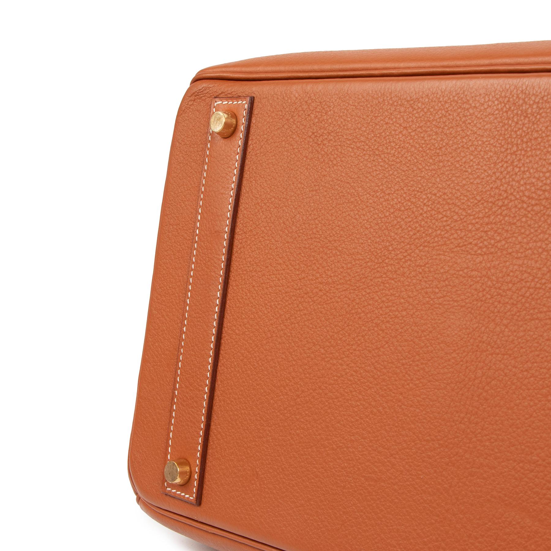 Hermès Birkin 40 Etrusque Clemence Taurillon GHW 3