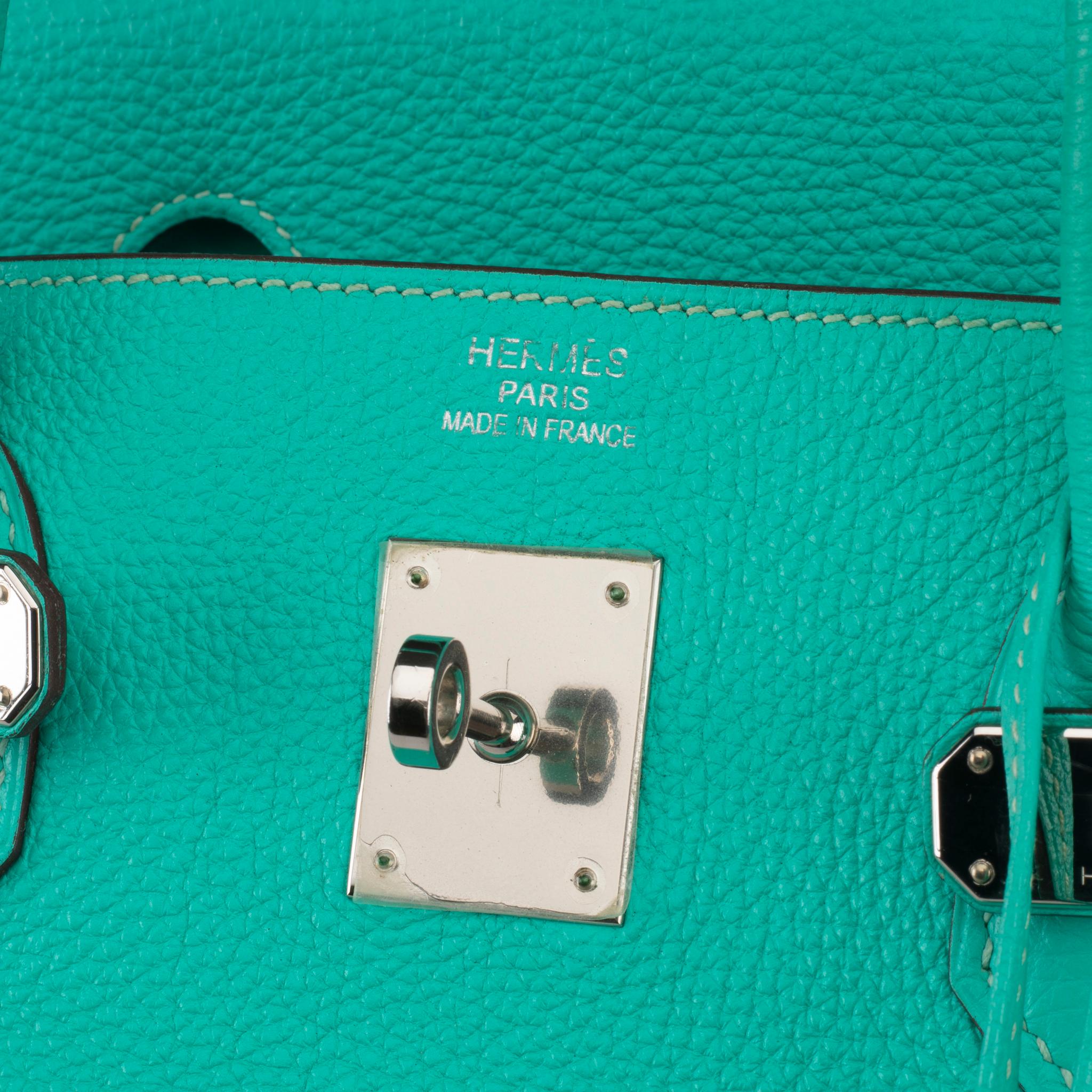 Hermes Birkin 40cm Lagoon Togo Leather Palladium Hardware For Sale 1
