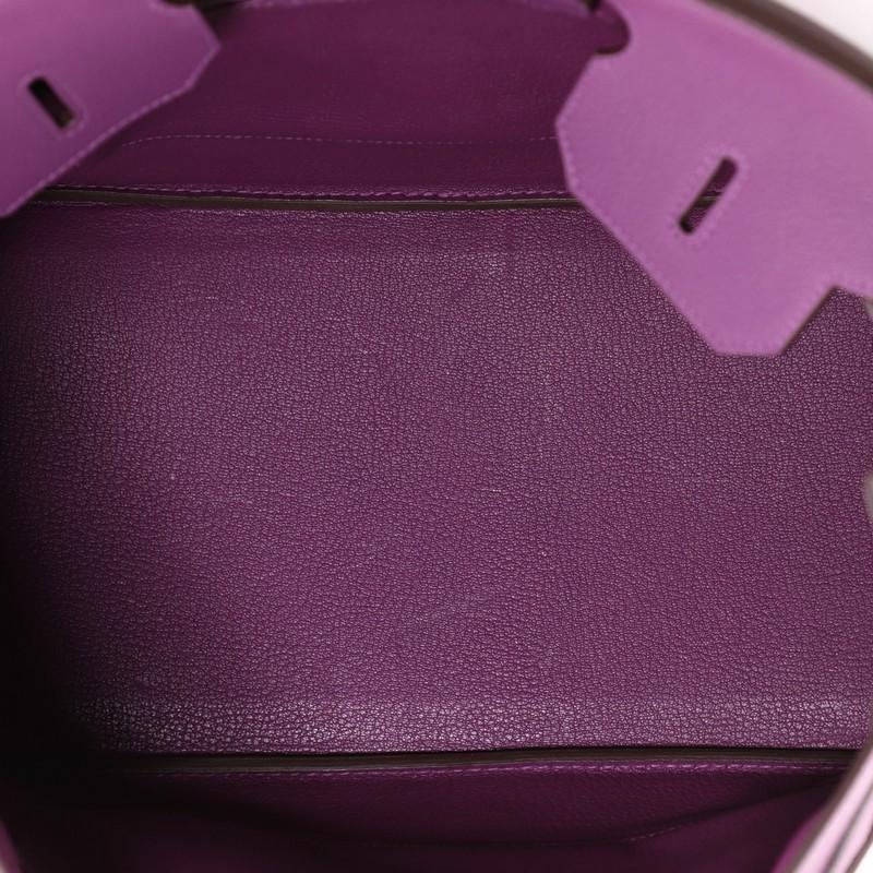 Hermes Birkin Handbag Anemone Togo with Palladium Hardware 35 1