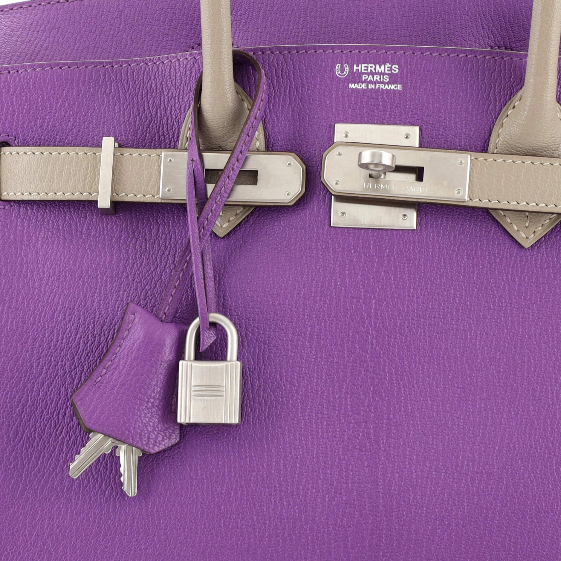 Hermes Birkin Handbag Bicolor Chevre Mysore with Brushed Palladium Hardware 30 2
