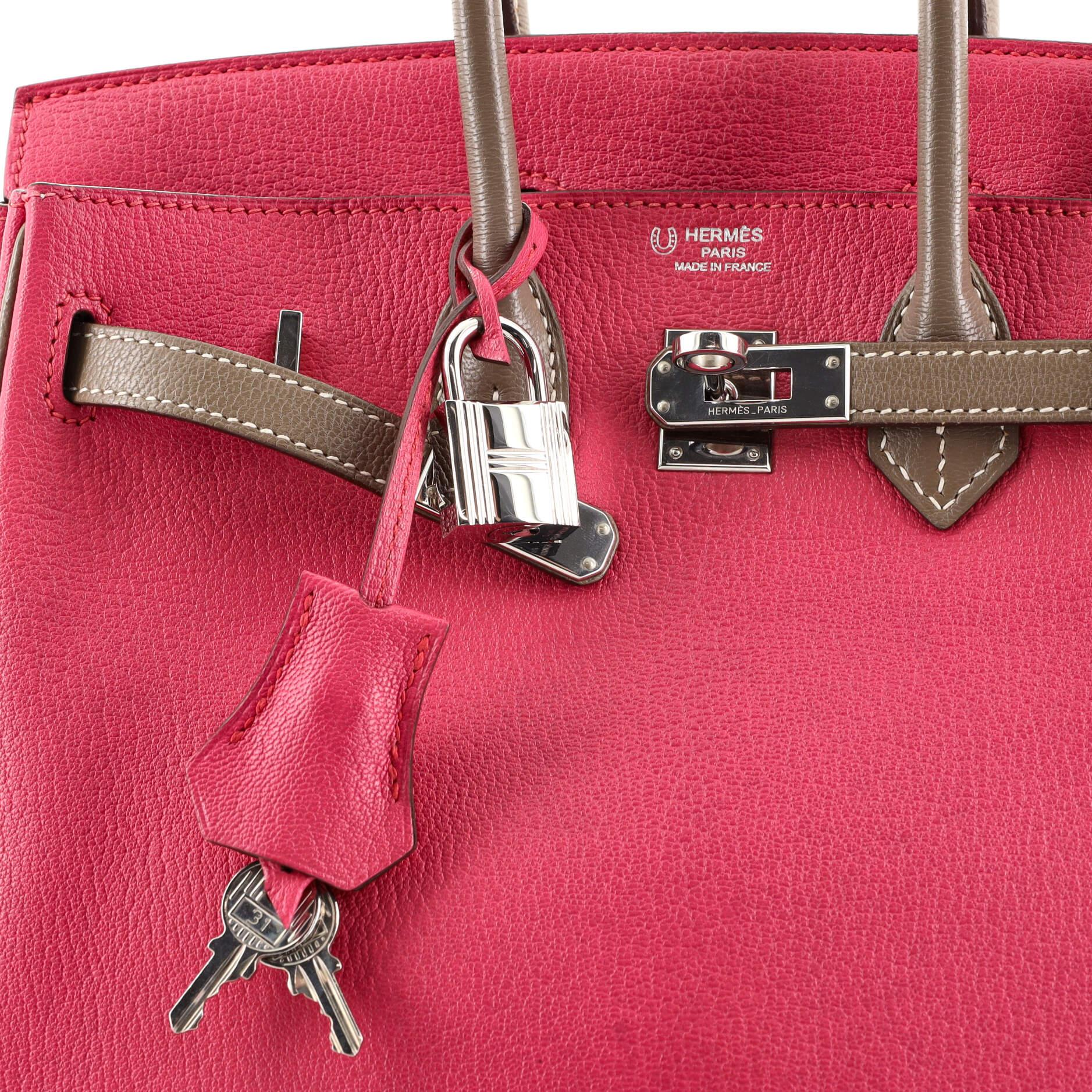 Hermes Birkin Handbag Bicolor Chevre Mysore with Palladium Hardware 25 5