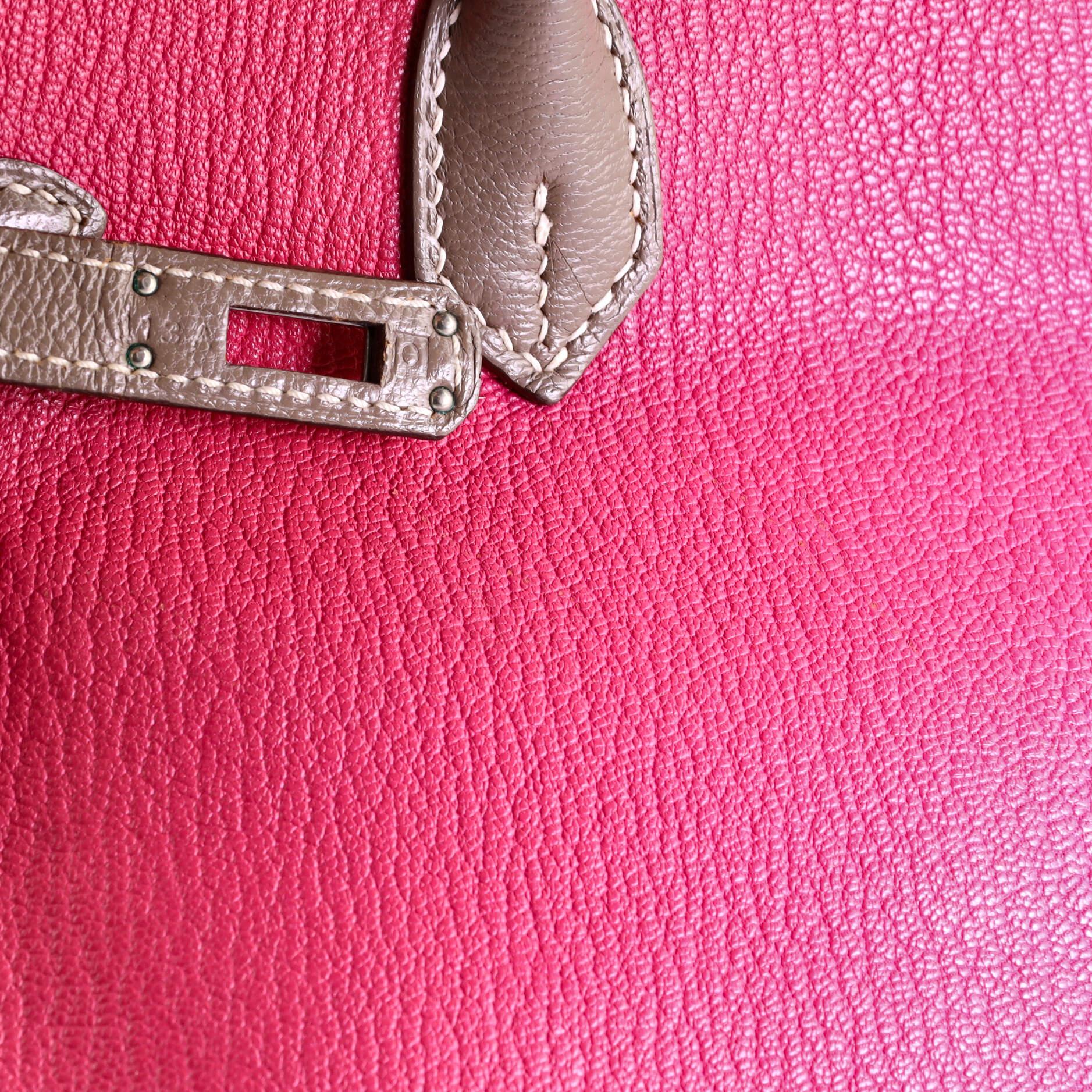 Hermes Birkin Handbag Bicolor Chevre Mysore with Palladium Hardware 25 4