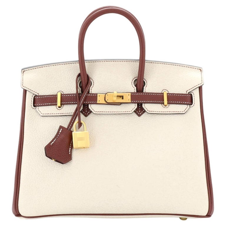 Hermes Birkin 25 cm Handbag in White Nata and Gold Bicolor Epsom