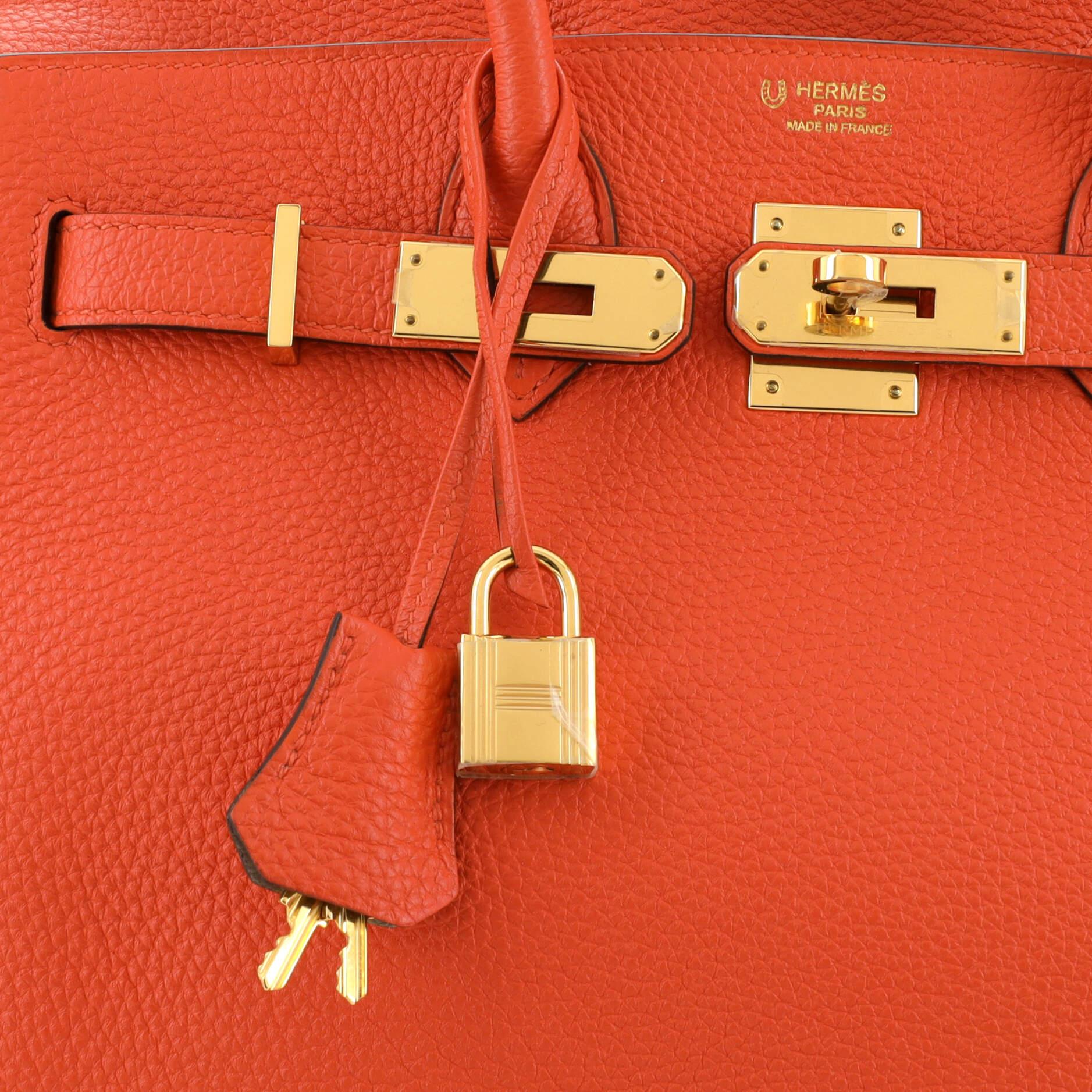 Hermes Birkin Handbag Bicolor Togo with Gold Hardware 30 3