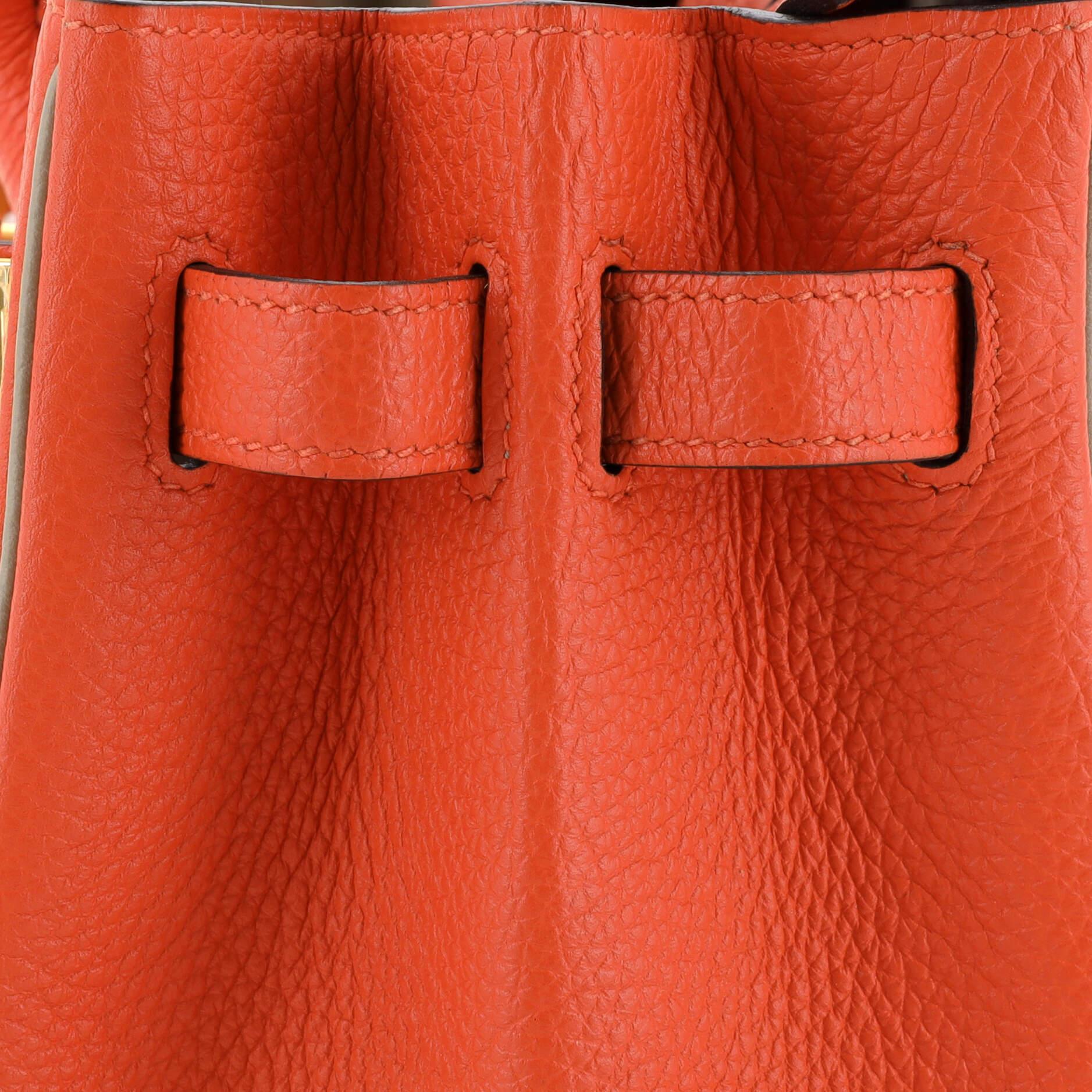 Hermes Birkin Handbag Bicolor Togo with Gold Hardware 30 4