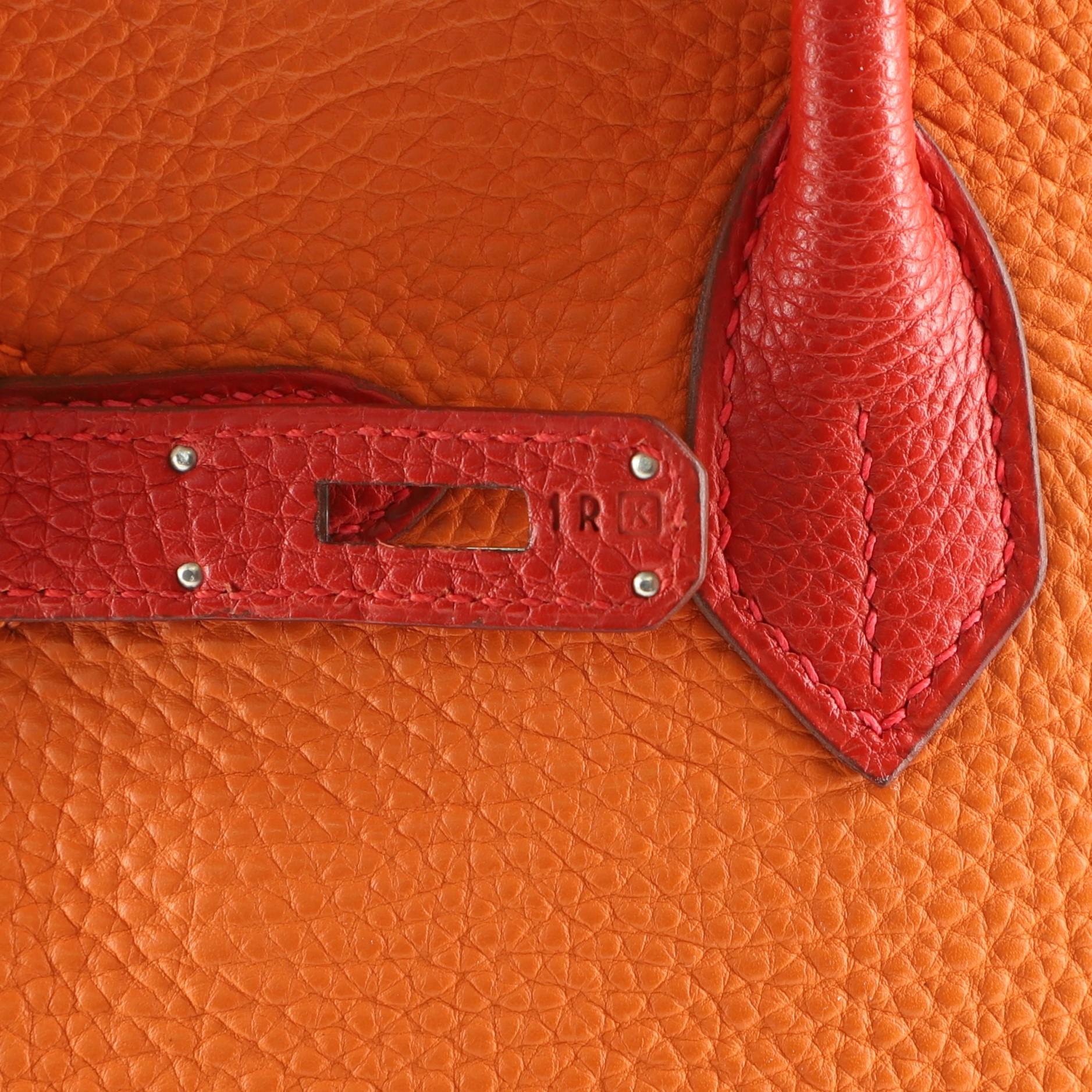 Hermes Birkin Handbag Bicolor Togo with Palladium Hardware 30 5