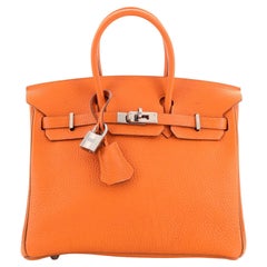 Hermes Birkin Handbag Bicolor Togo with Ruthenium Hardware 25