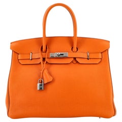 Hermes Birkin Handbag Bicolor Togo with Ruthenium Hardware 35