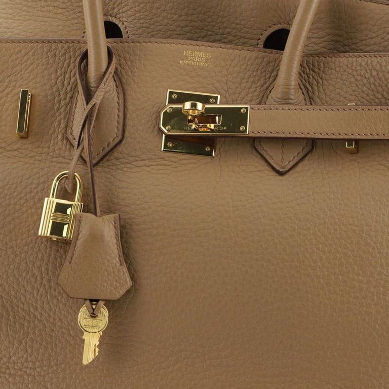 Hermes Birkin Handbag Biscuit Togo With Gold Hardware 30