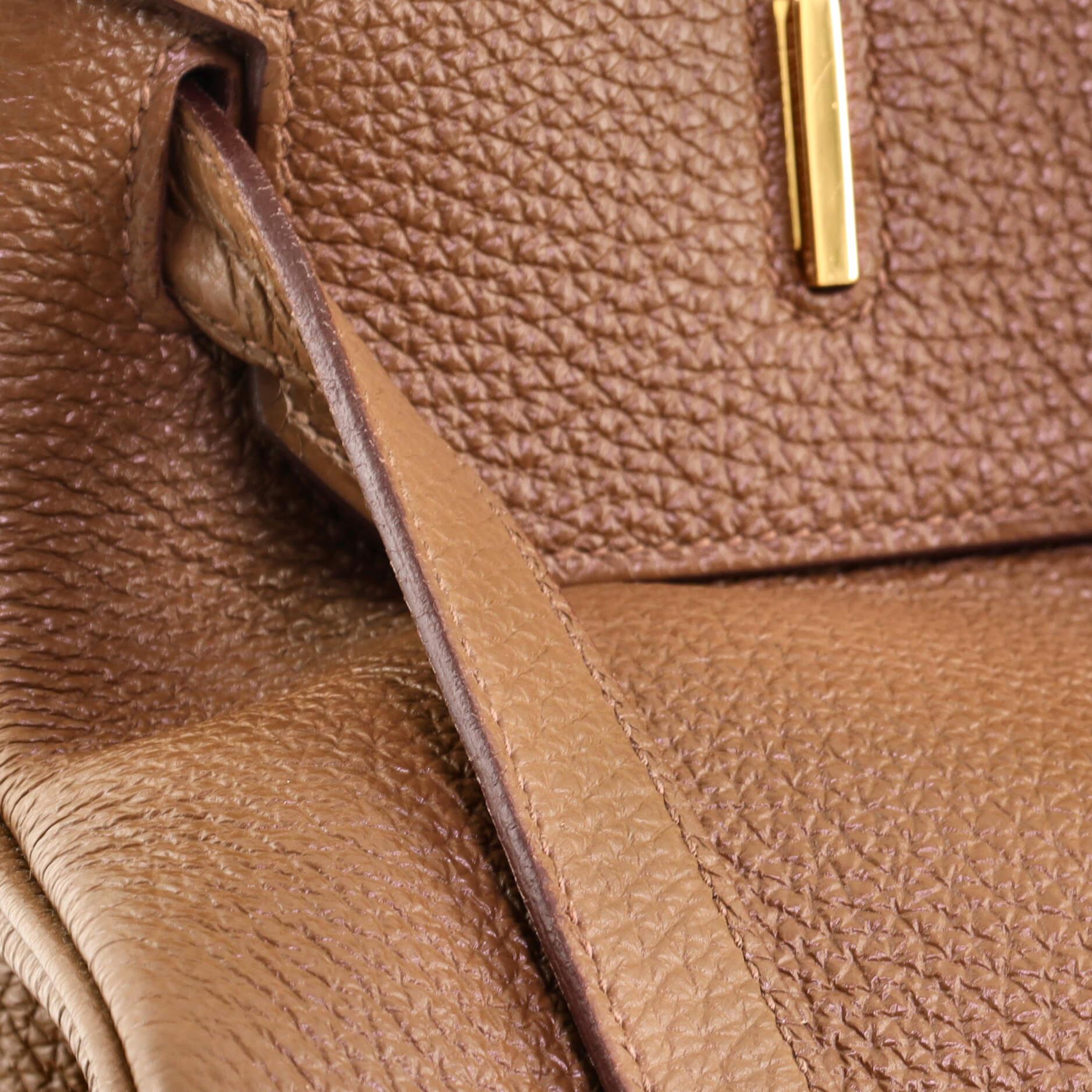 Hermes Birkin Handbag Biscuit Togo with Gold Hardware 40 6