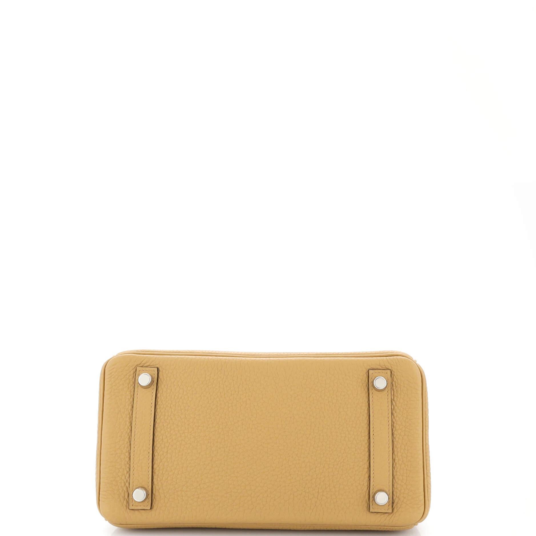Hermes Birkin Handbag Biscuit Togo with Palladium Hardware 25 1