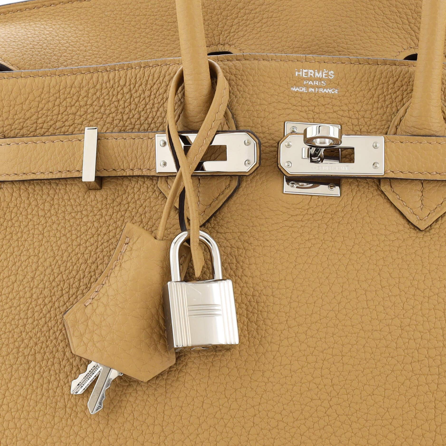 Hermes Birkin Handbag Biscuit Togo with Palladium Hardware 25 3