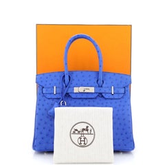 Hermes Birkin Handbag Bleuet Ostrich with Palladium Hardware 30