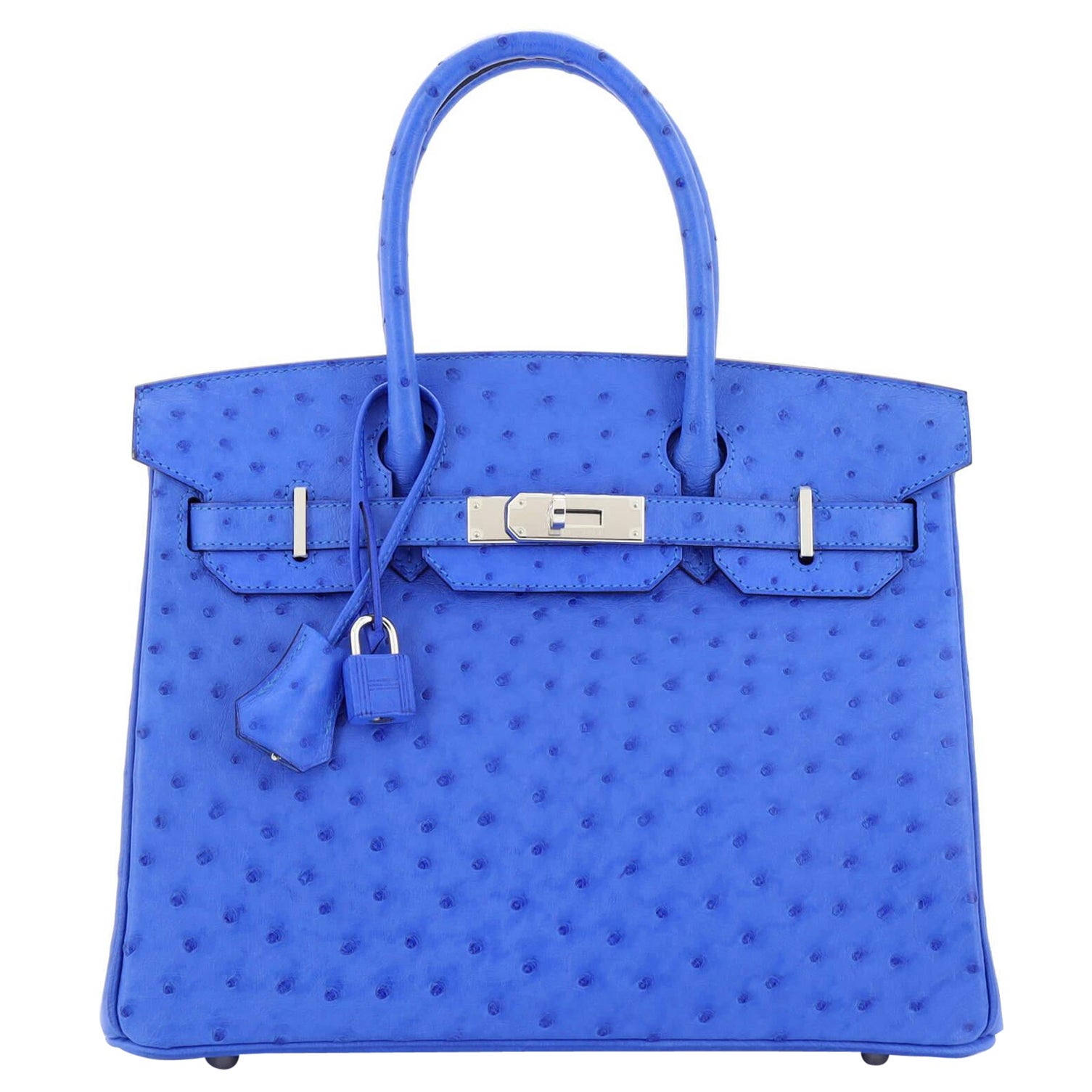 Hermes Birkin Handbag Bleuet Ostrich with Palladium Hardware 30