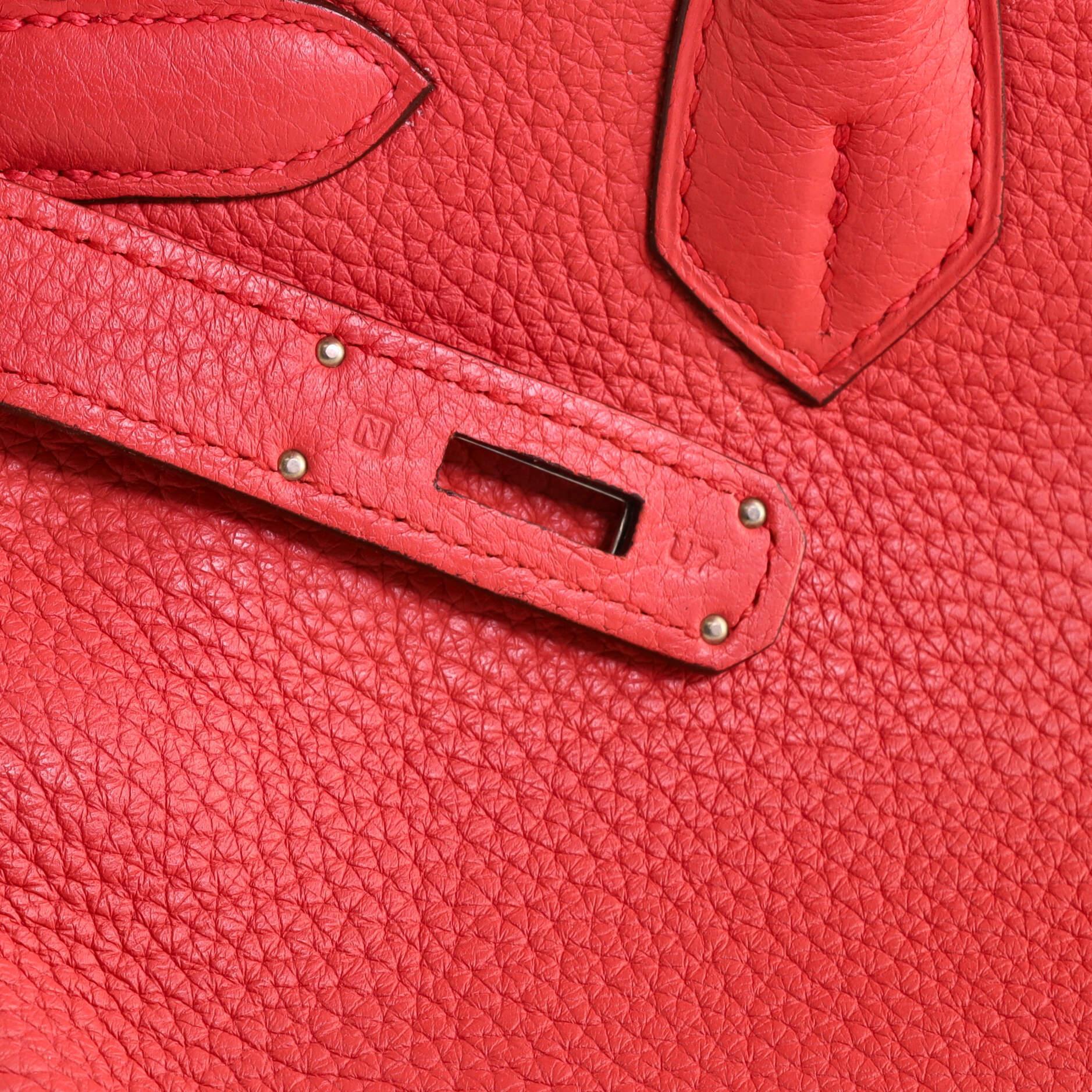 Hermes Birkin Handbag Bougainvillea Togo with Palladium Hardware 30 4