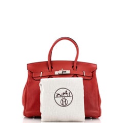 Hermes Birkin Handbag Brique Clemence with Palladium Hardware 30