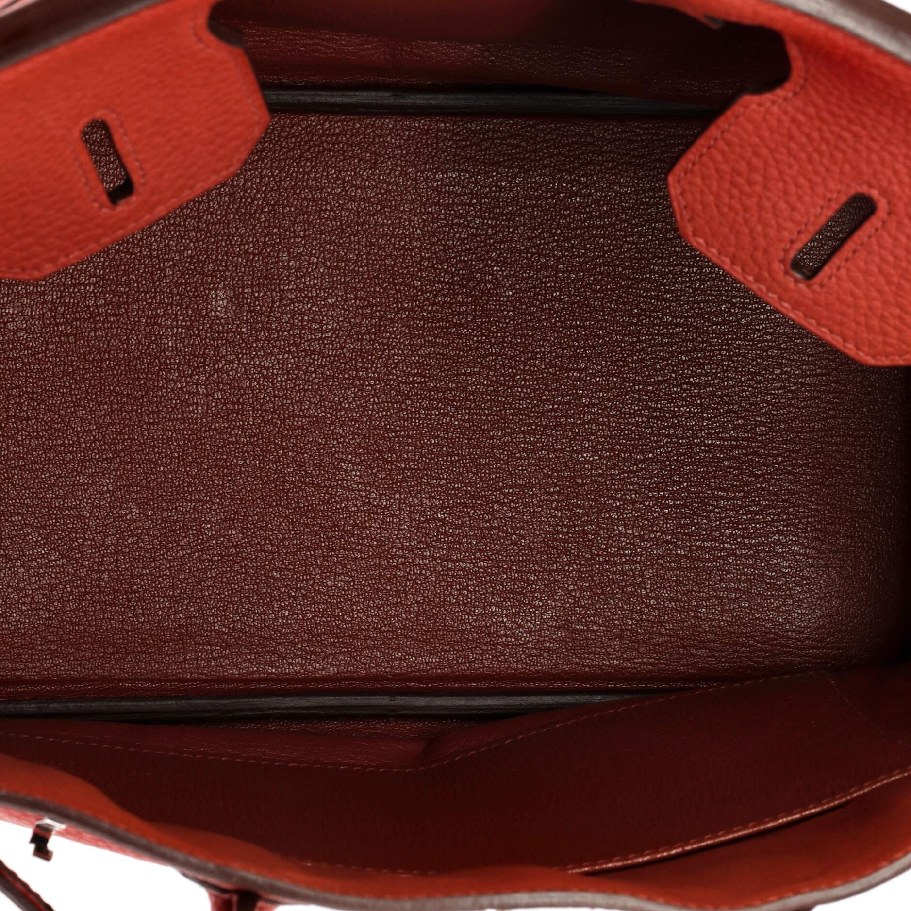 Hermes Birkin Handbag Brique Clemence with Palladium Hardware 30 2