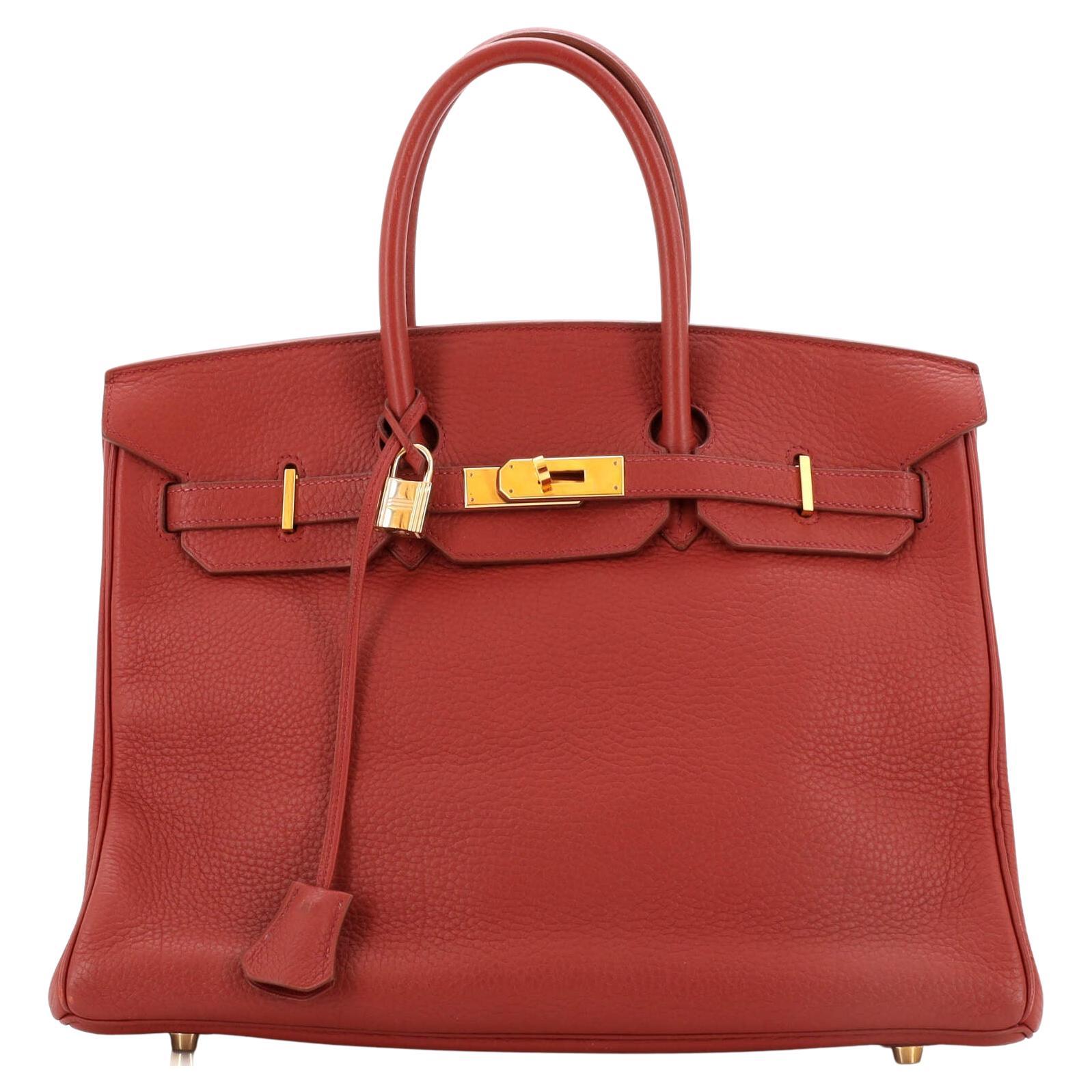 Hermes Birkin Handbag Brique Fjord with Gold Hardware 35