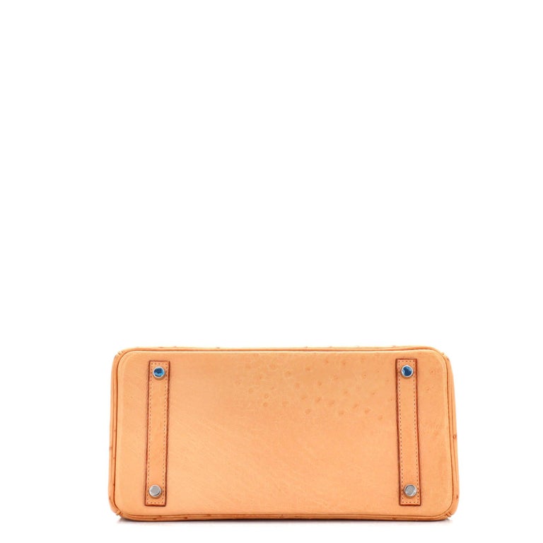 Hermes Birkin Handbag Brown Ostrich with Palladium Hardware 30 For Sale 1
